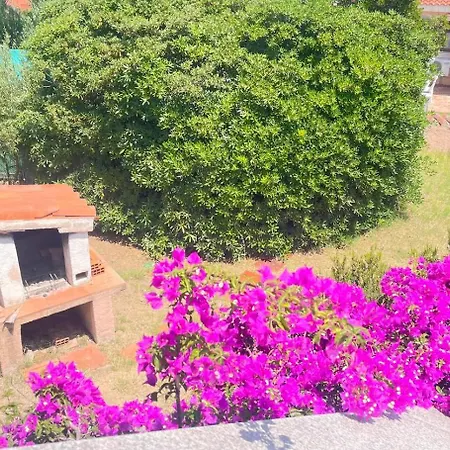 Apartament Citai Sea View House St4 - Puntocasabudoni